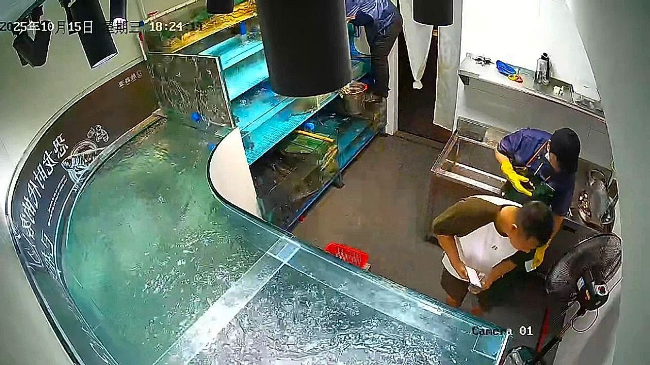 Video: Restaurant fish tank collapses and floods dining area in Fuzhou, China