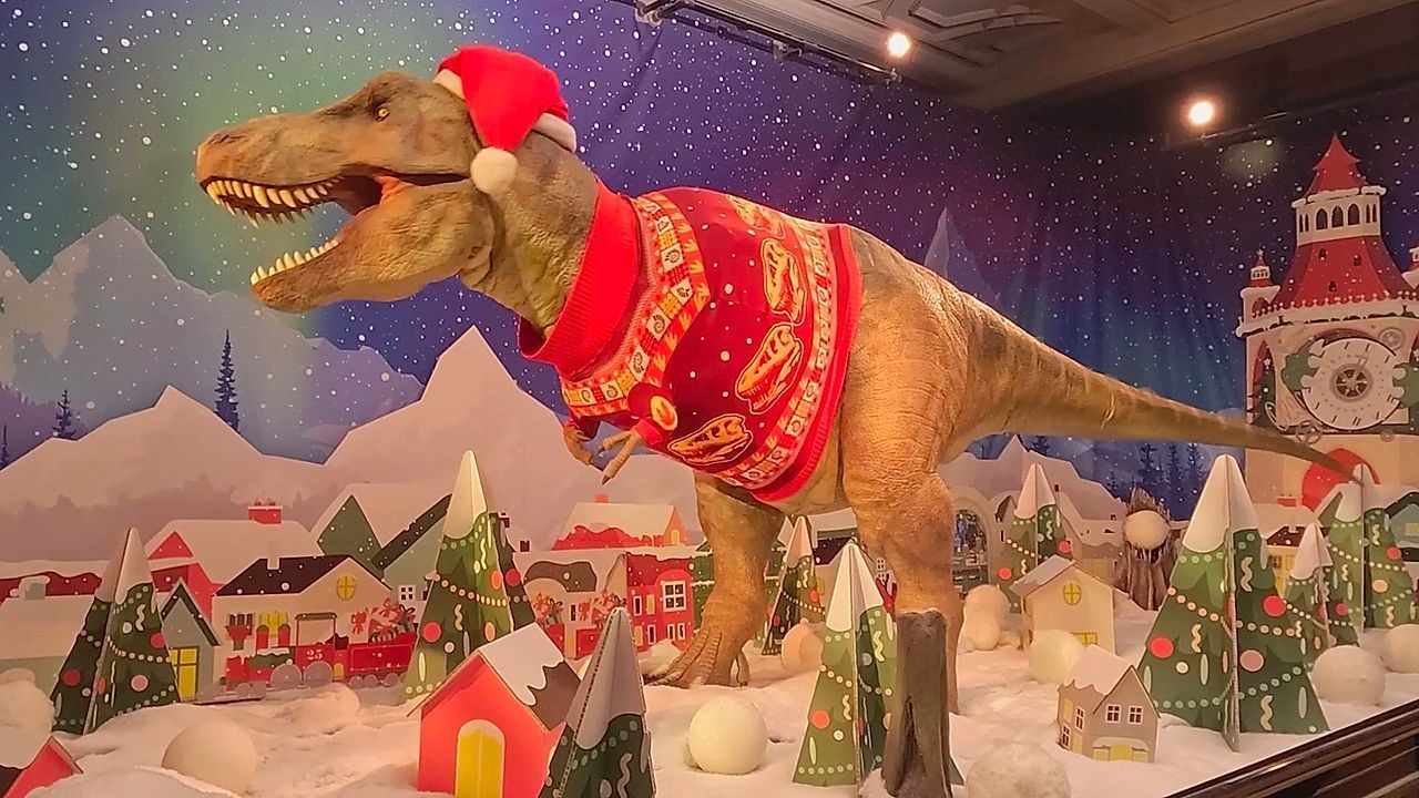 T-Rex at Natural History Museum helps launch dog-sized Christmas sweater
