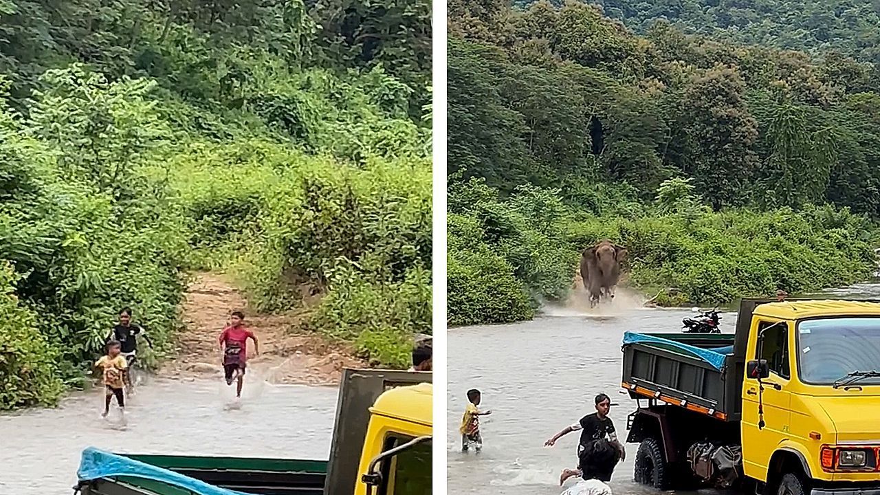 Charging elephant sends locals running in India