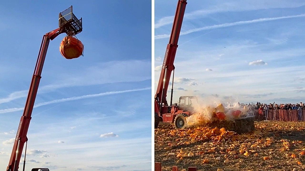 Smashing pumpkins! Giant pumpkin dropped by crane explodes at Cherry Crest Farm