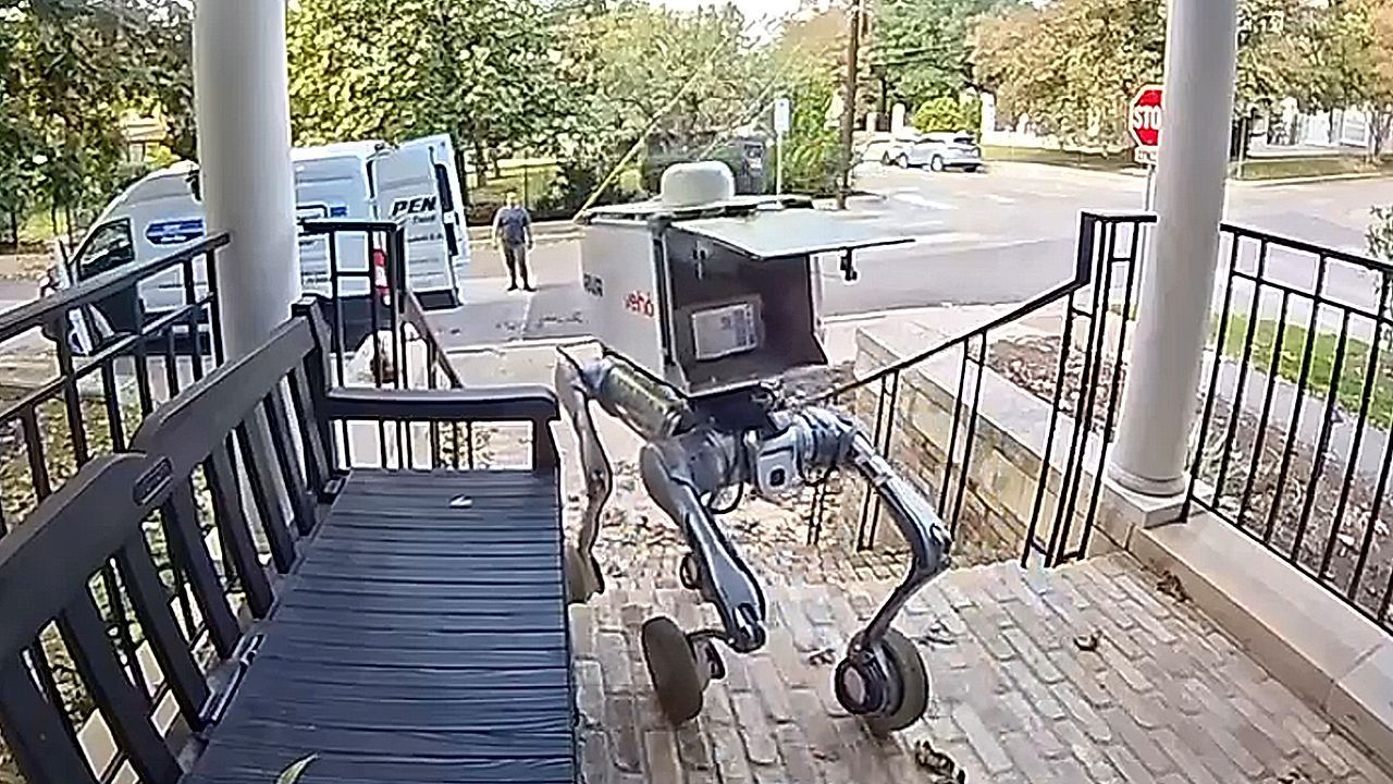 Delivery robot forgets to drop package then flings itself down stairs