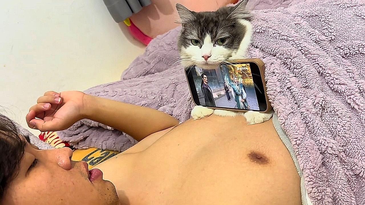 This affectionate cat becomes the perfect cell phone holder for its owner