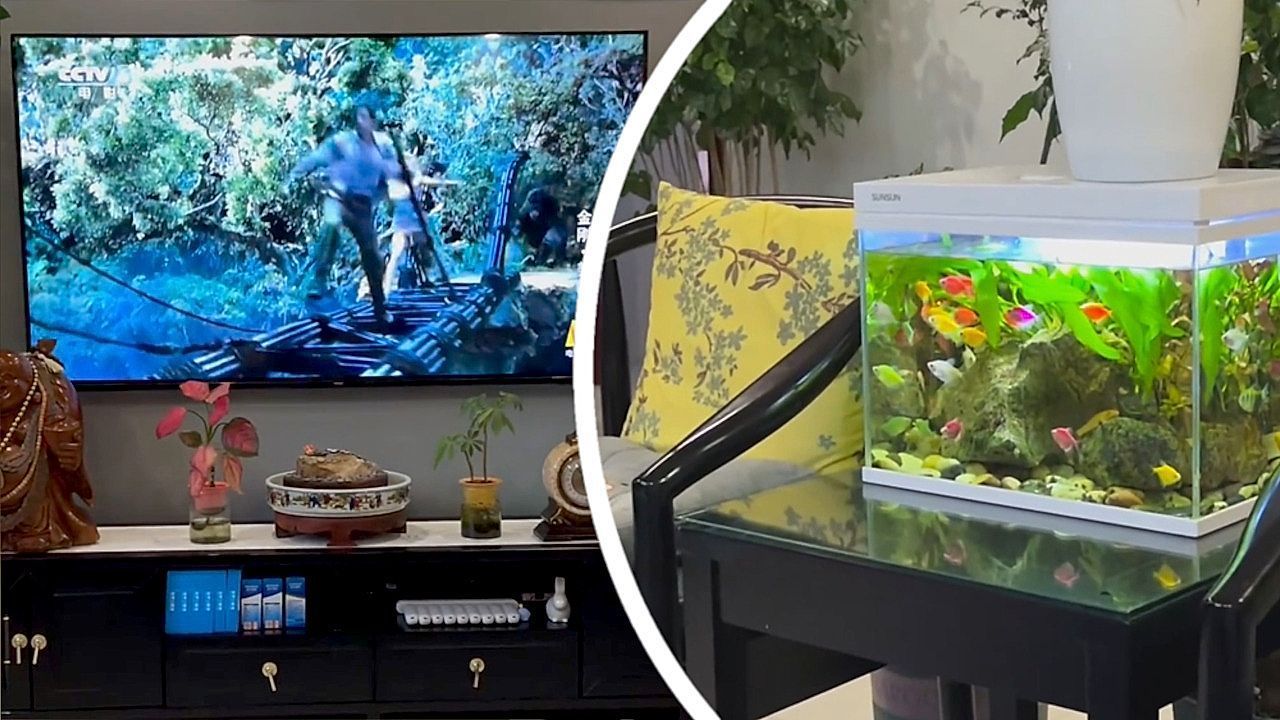 Unterwasser-Publikum-Fische-schauen-konzentriert-Kinofilm-im-Wohnzimmer