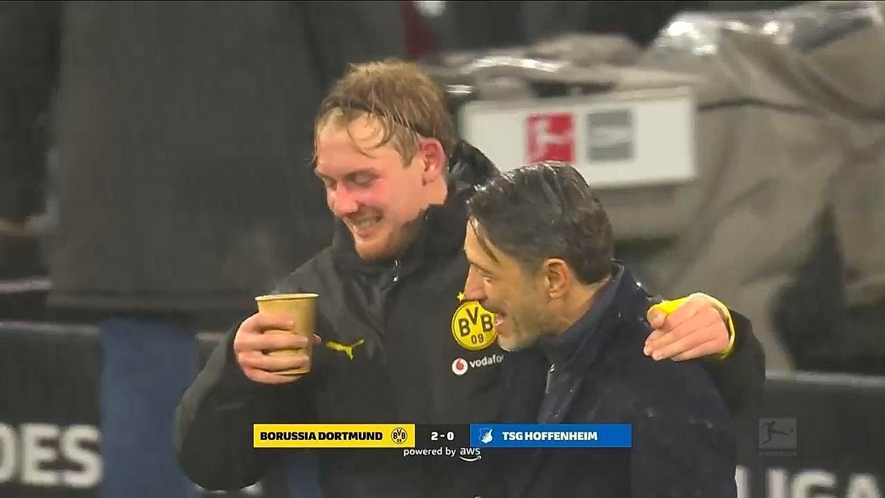 Dortmund see off Hoffenheim to cement third place in Bundesliga