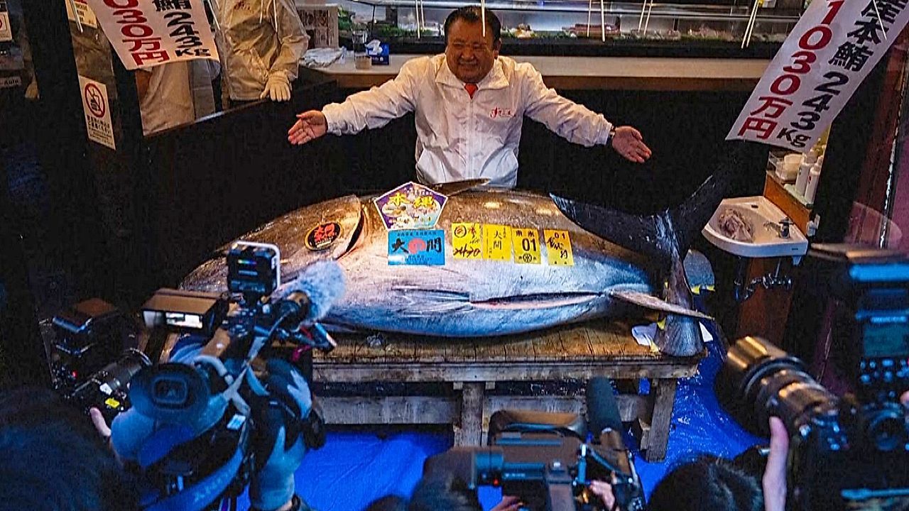 Neujahrsauktion in Tokio: Thunfisch für knapp 2,8 Millionen Euro verkauft