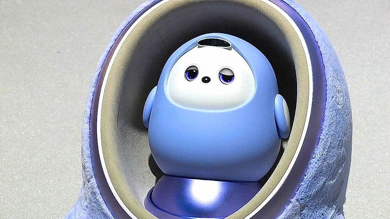 The-future-is-here-These-robots-mark-the-next-advances-in-robotics