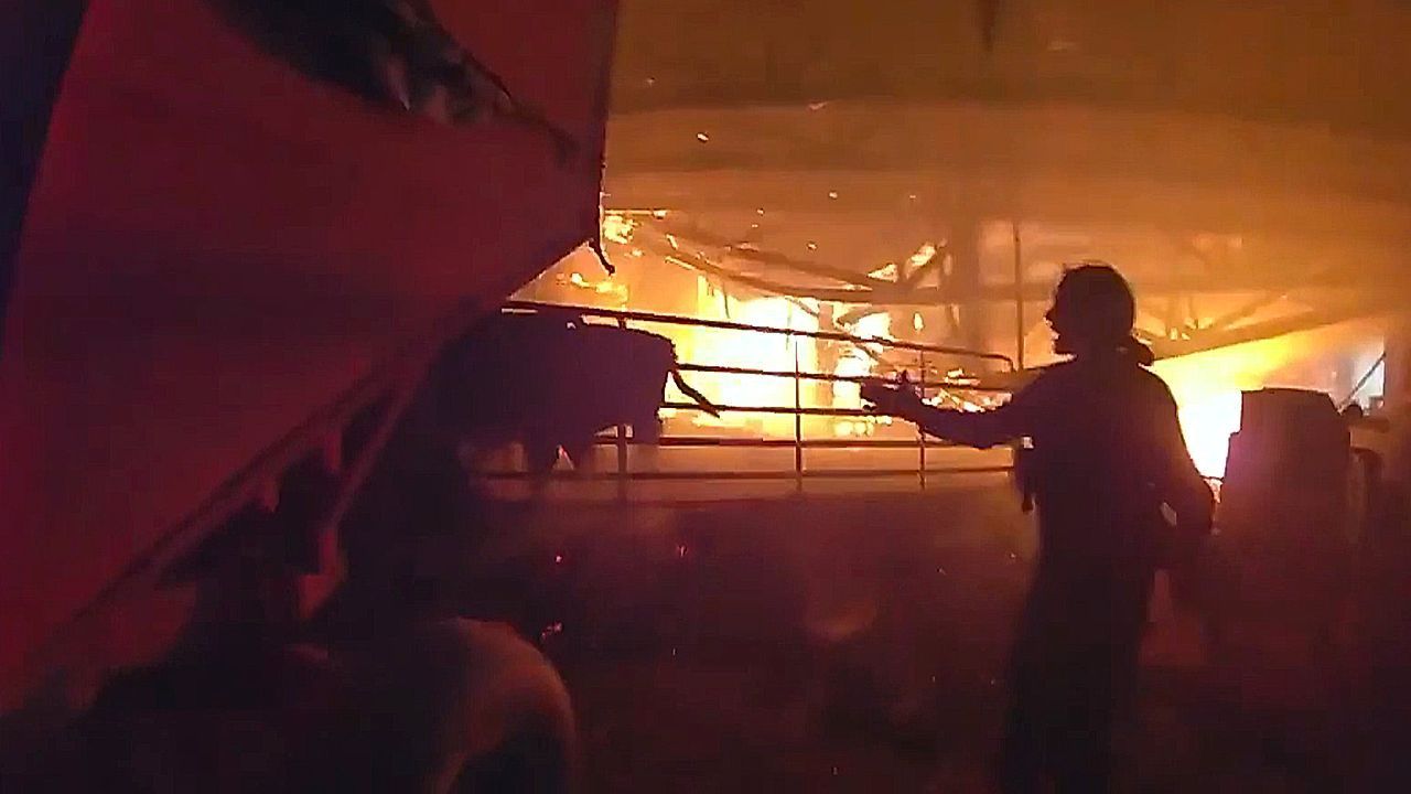 Video: Bodycam: Officers rescue cows from burning barn in upstate New York