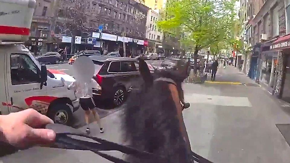 Verfolgung auf Hufen: New Yorker Polizist schnappt Taschendiebin vom Pferd aus