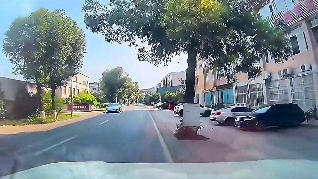 Video: Dashcam captures shocking crash during smart driving mode