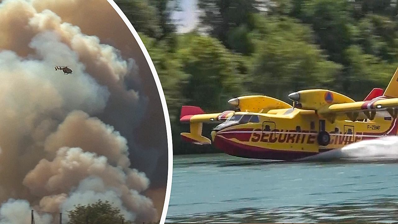 Video: Großbrand bei Paris: Wald von Fontainebleau in Flammen
