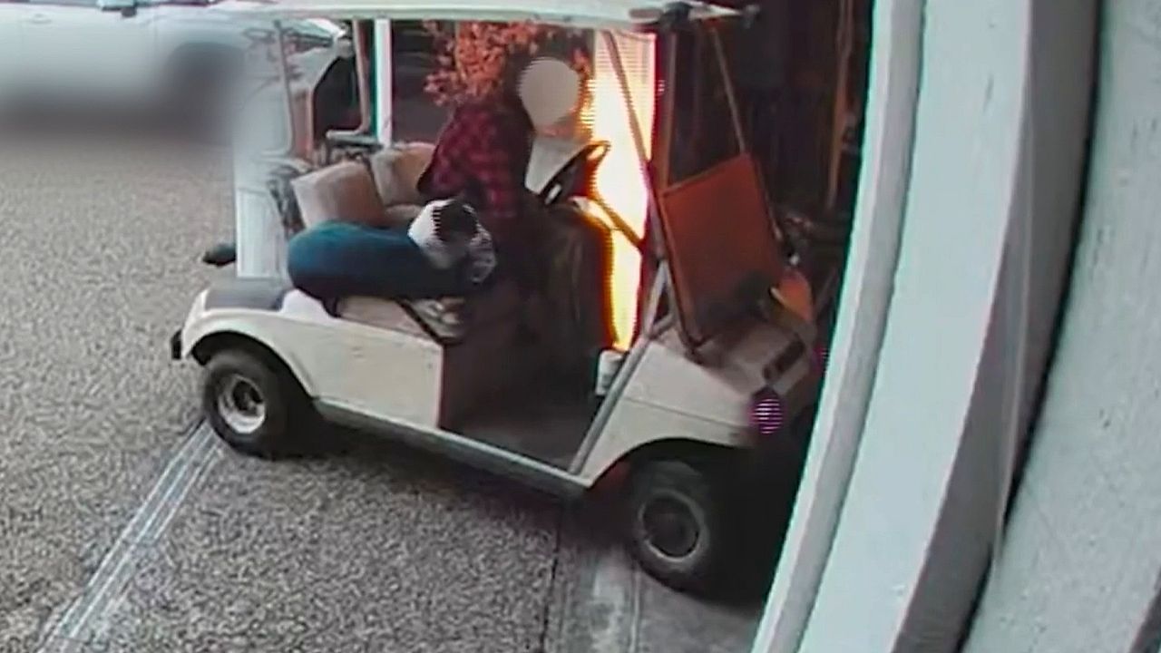 Video: Hund als Beifahrer – Mann setzt Garage vom Golfcart aus in Brand