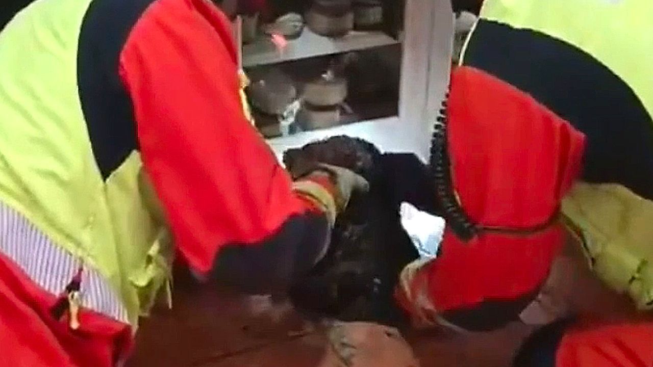 Firefighters smash floor to free trapped dog after flooding in Spain