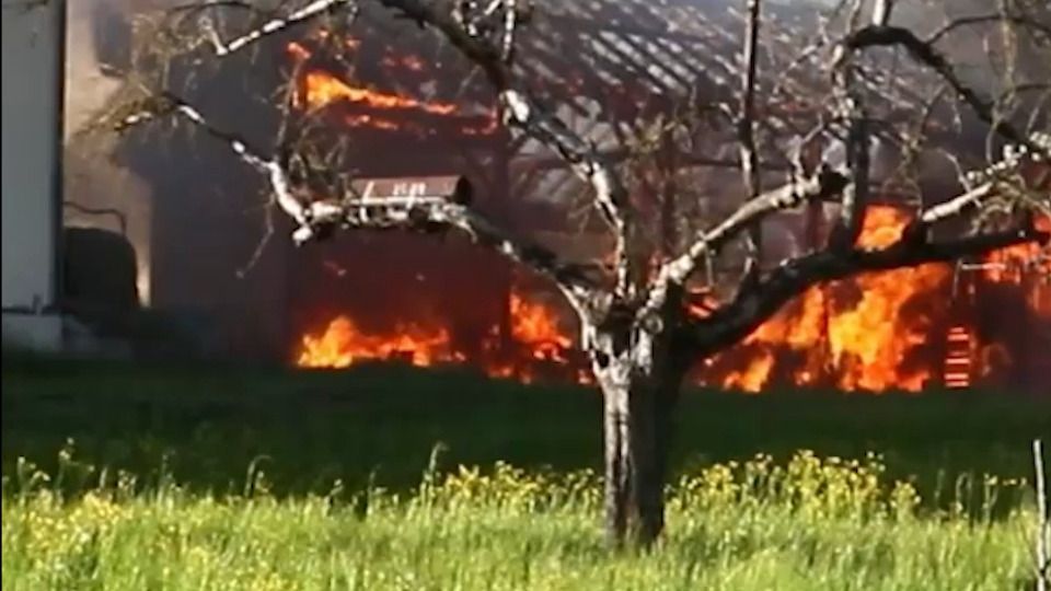Video: Kreis Ludwigsburg: Scheune brennt komplett ab