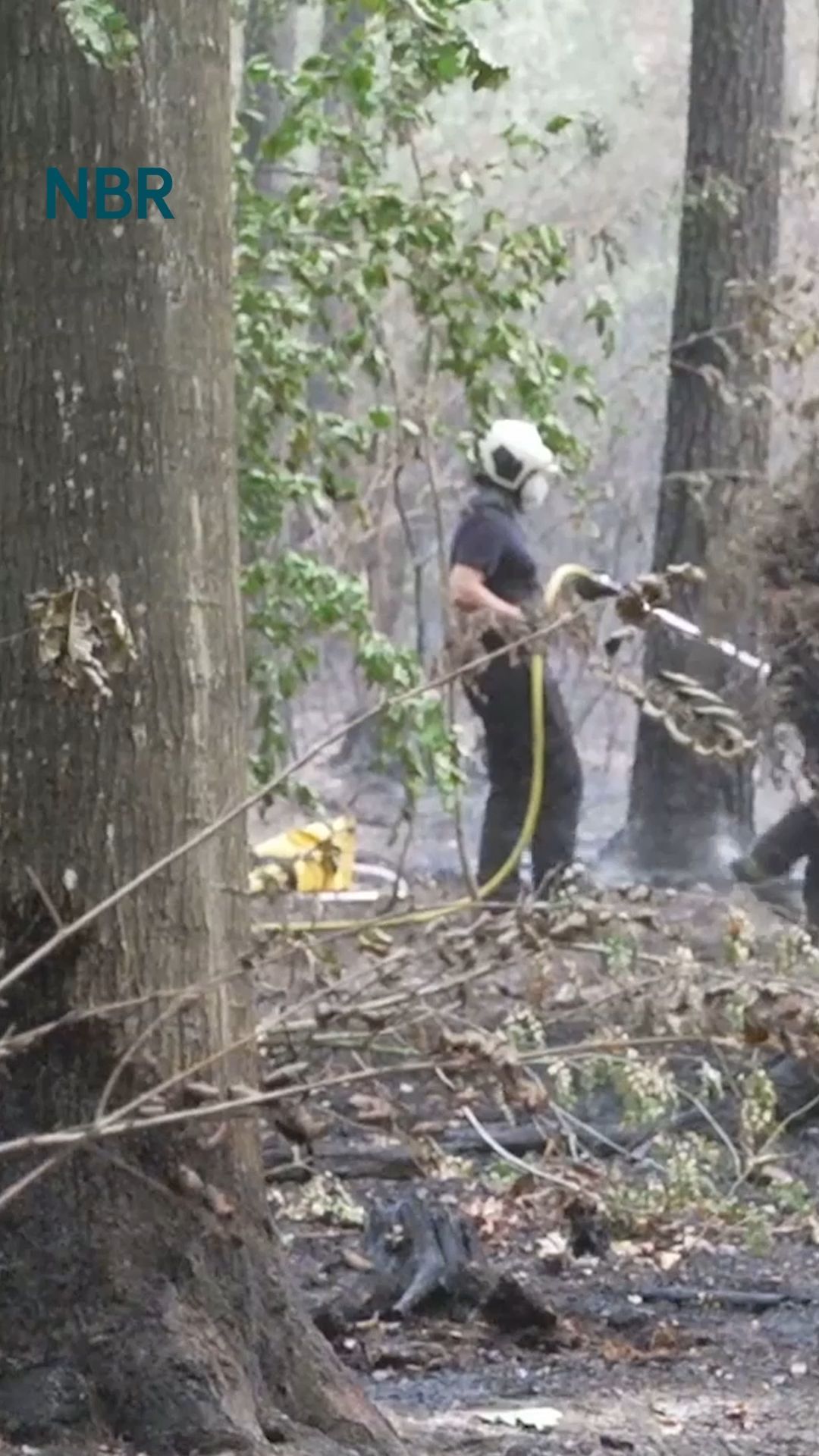 Video: Großbrände: Hürtgenwald unter Kontrolle, Monschau entspannt