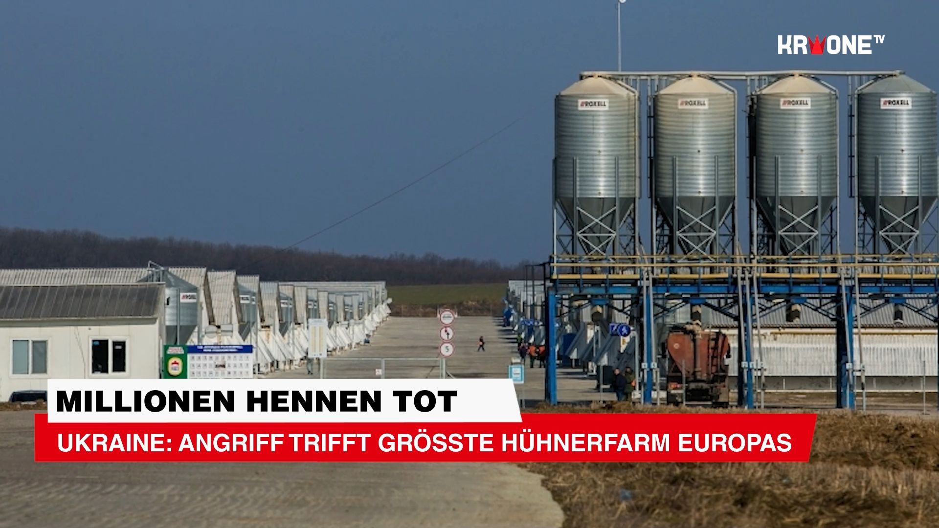 Ukraine: Attack hits Europe's largest chicken farm