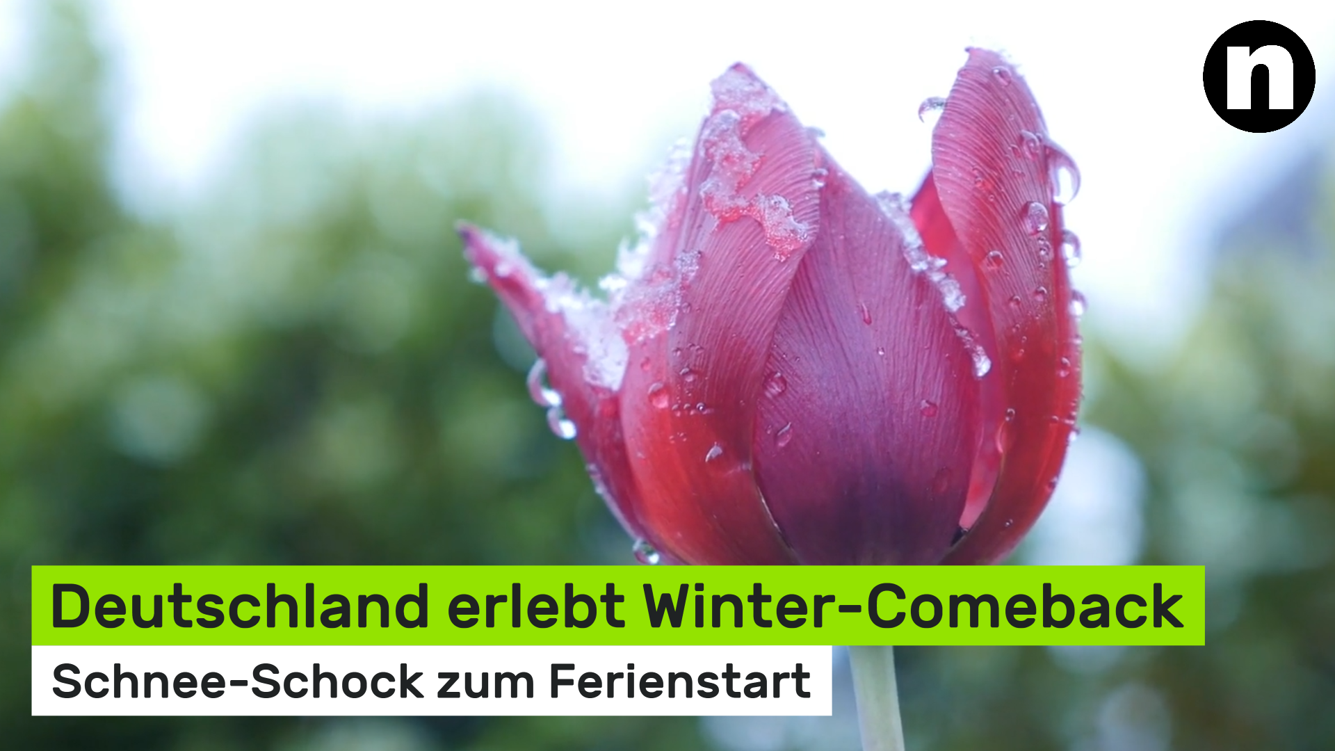Video: Schnee-Schock zum Ferienstart: Deutschland erlebt Winter-Comeback
