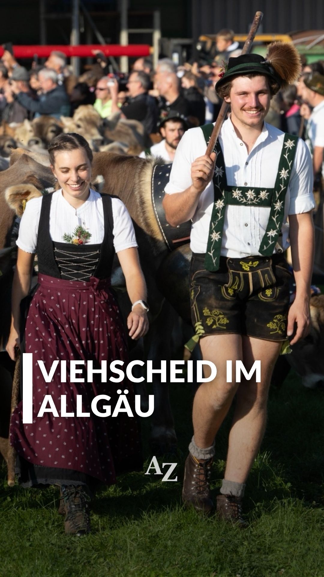 Video: Viehscheid-Auftakt im Allgäu