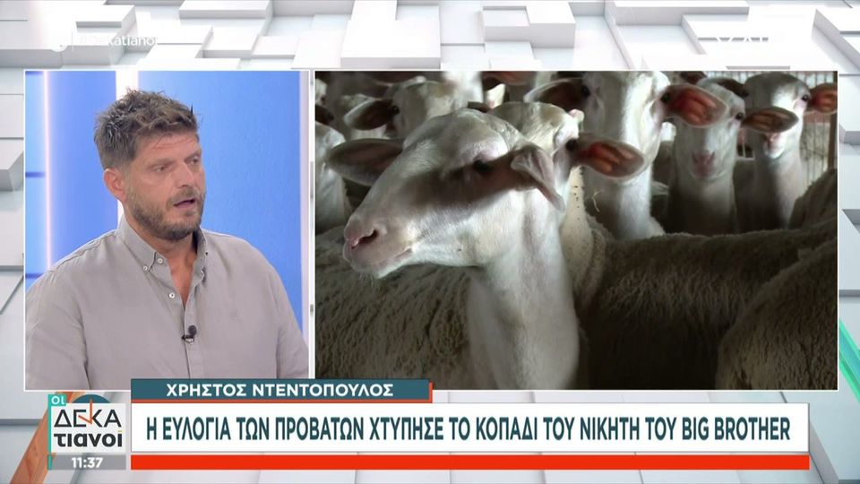 Παντρεύονται Μαριαλένα Ρουμελιώτη και Σάκης Κατσούλης - Η ρομαντική πρόταση γάμου