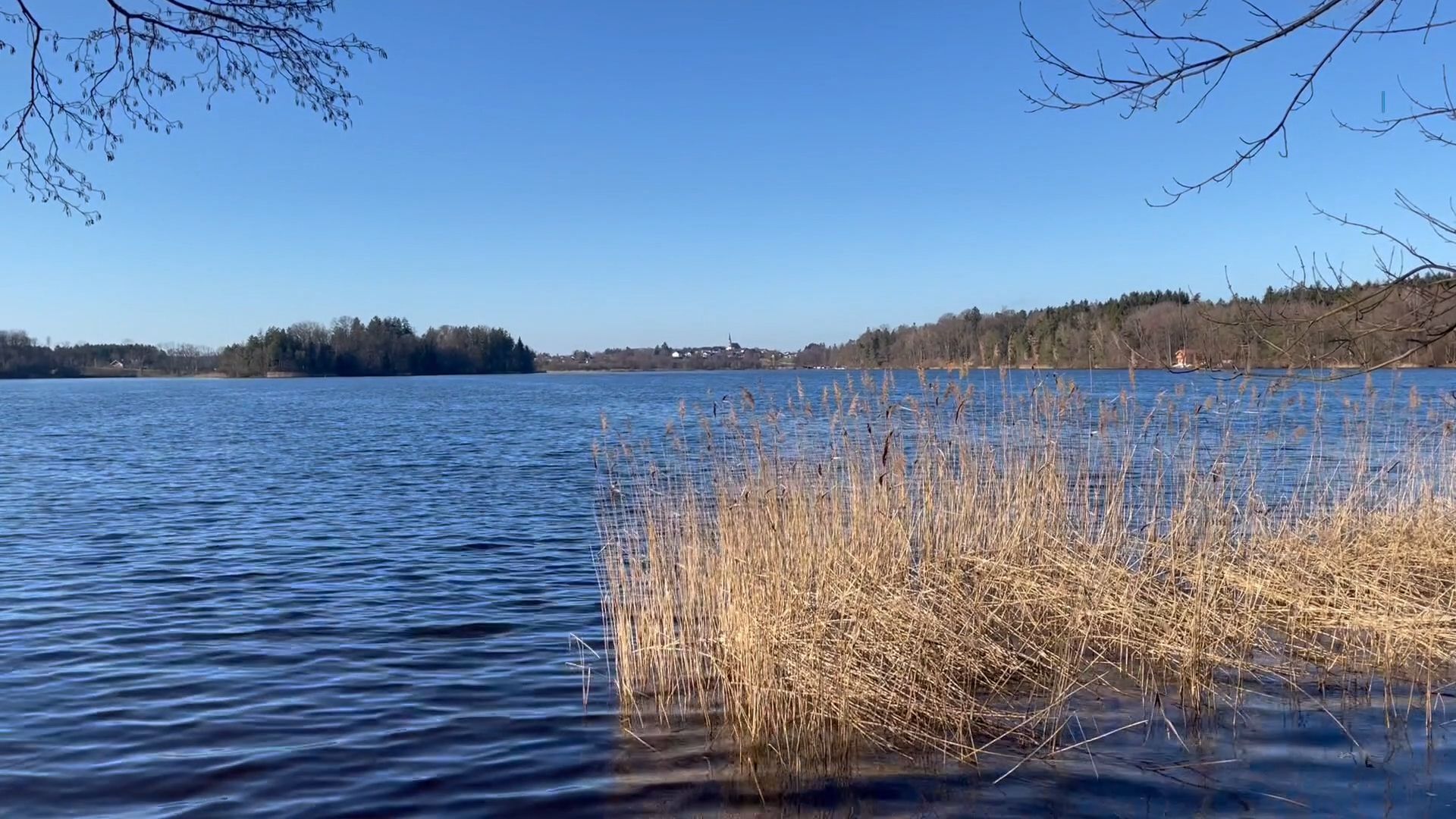 Freizeitgelände Abtsdorfer See - ein Naturjuwel zu jeder Jahreszeit
