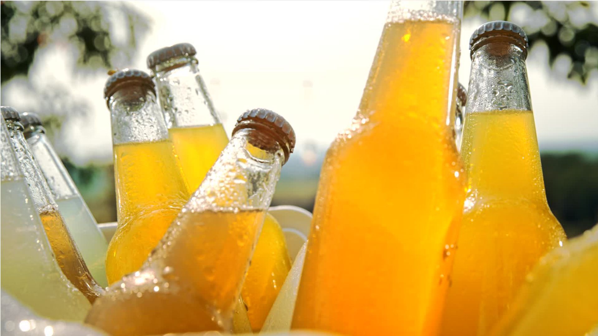 Cola und Limo: Mehr zuckerhaltige Getränke produziert