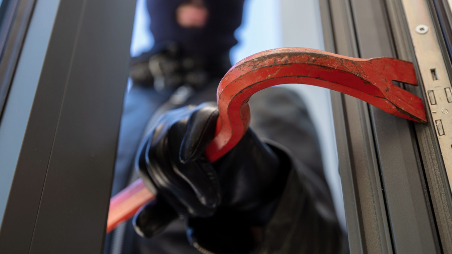 Einbrecher liest sich in Buch fest - Festnahme