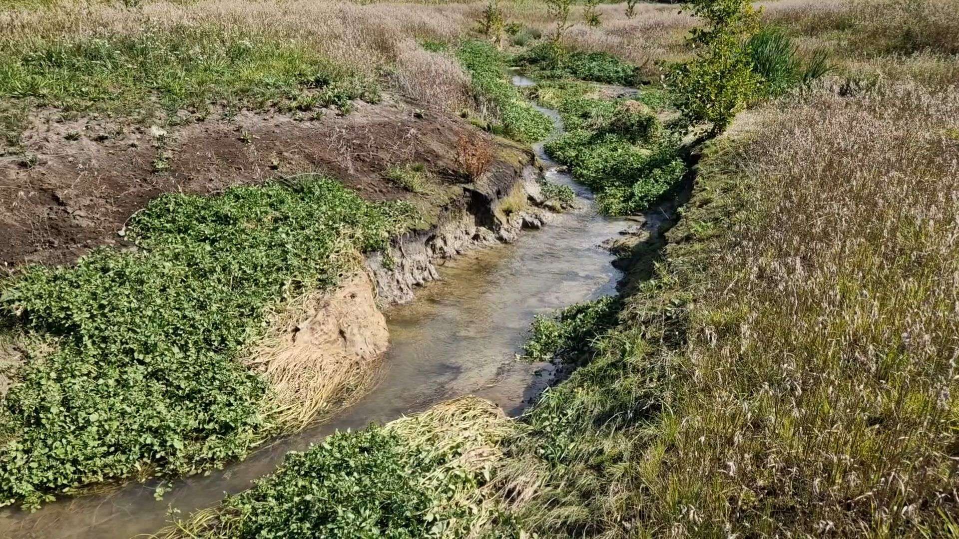 Renaturierung des Leitenbachs bei Burgheim