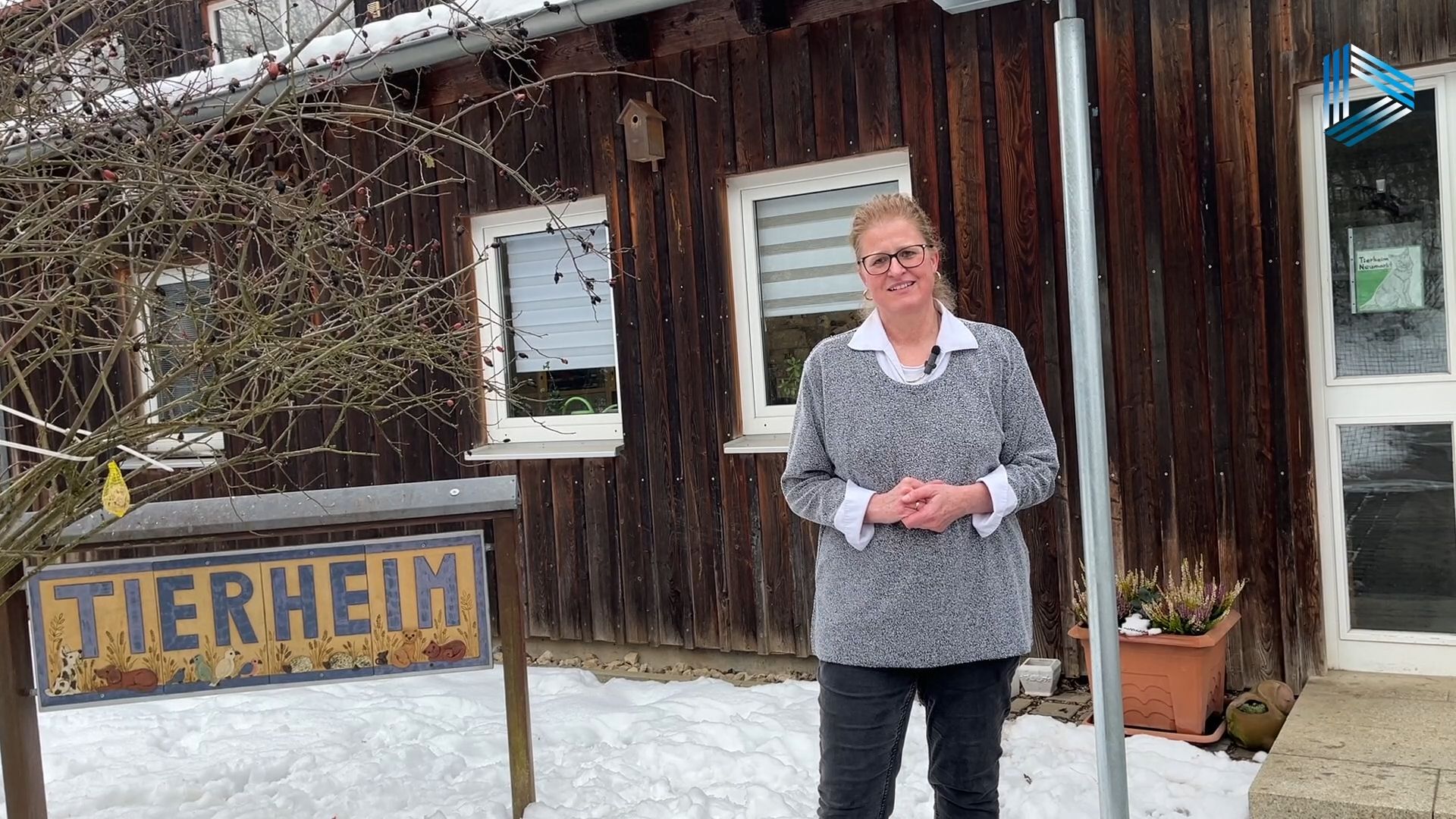 Video: Neumarkter Tierheim momentan wenig belegt: Doch diese Tiere suchen aktuell ein Zuhause