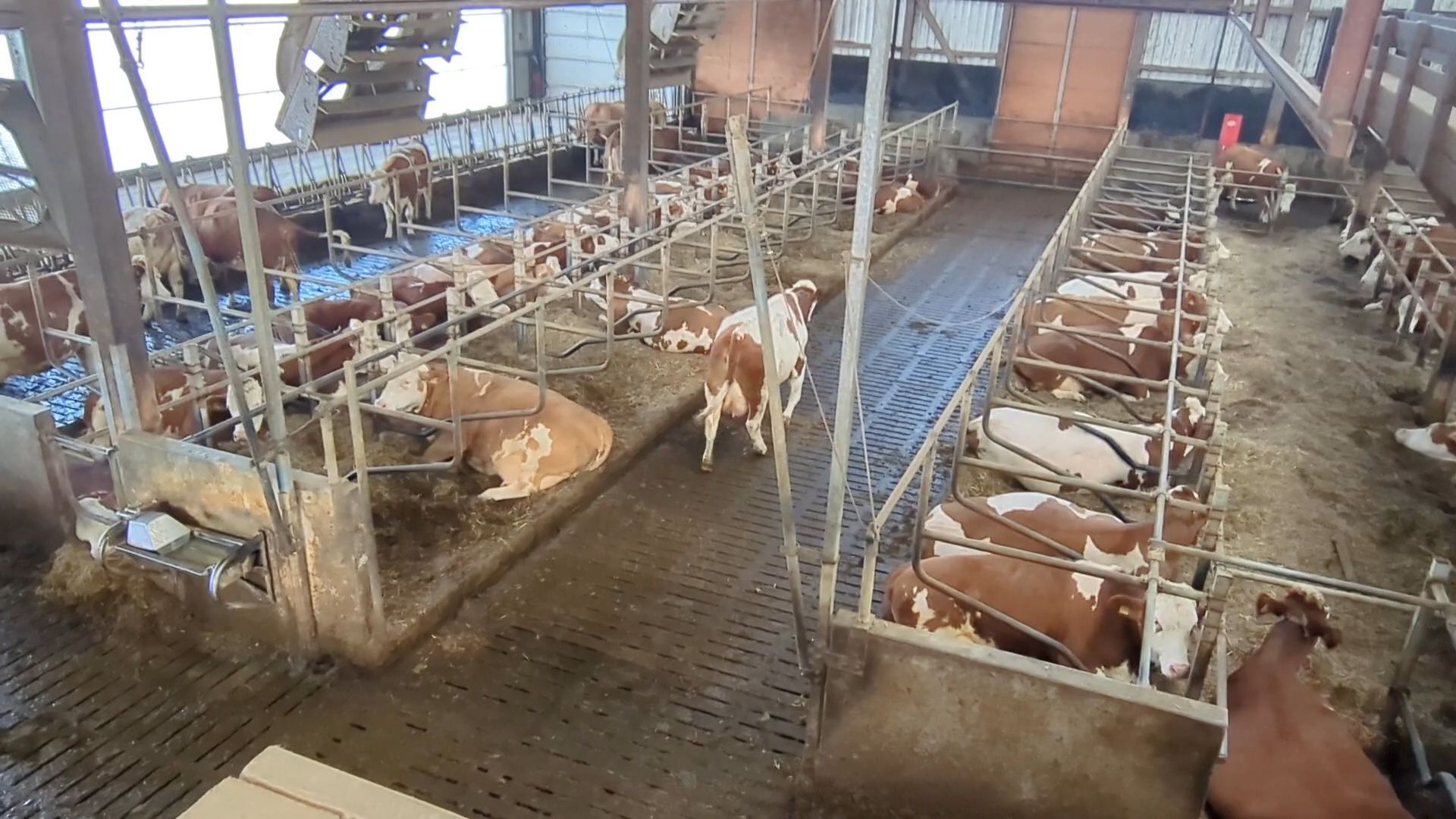 Video: DK-Landwirtschaftsserie startet