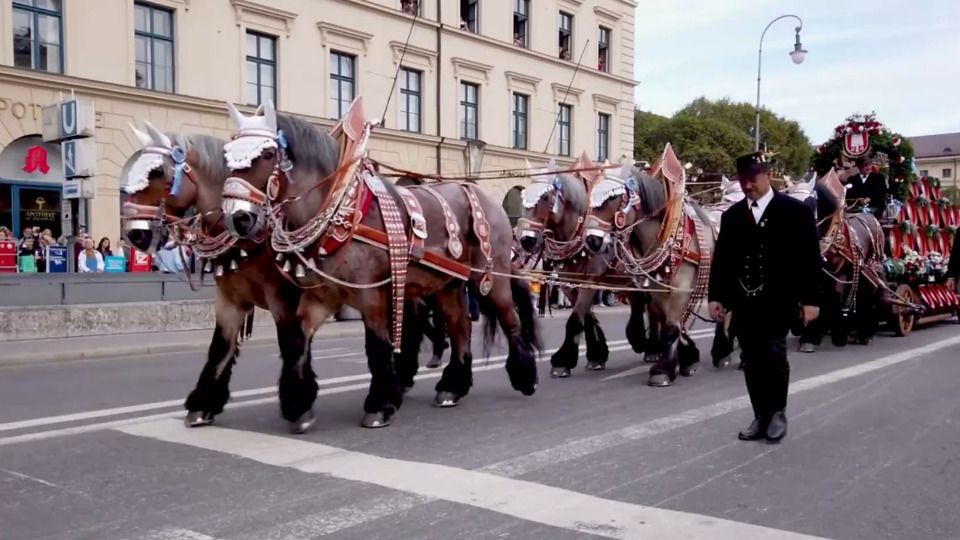 Video: "Bayern und seine Viecher": Die Spaten-Rösser