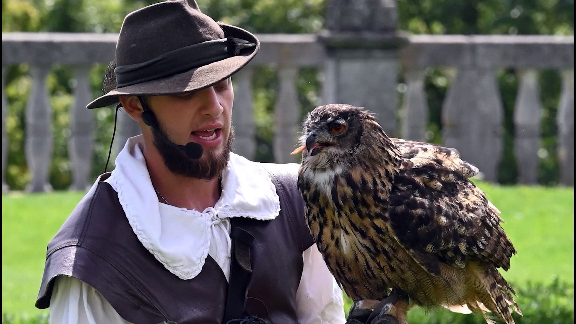 Video: Falknerei Rosenburg