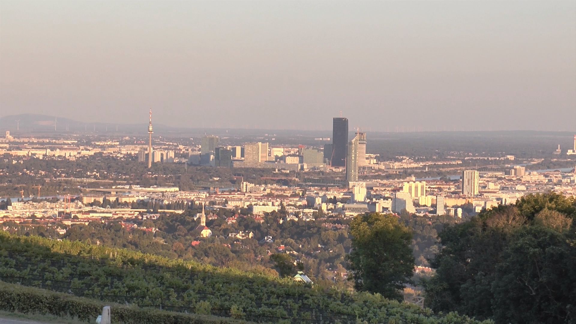 Video: News Flash Wien 7. August