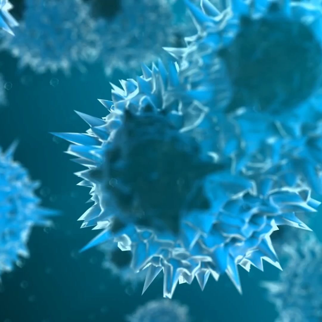 Video: Patient*innen-Versorgung in Wien auch während Grippewelle durchgehend sichergestellt