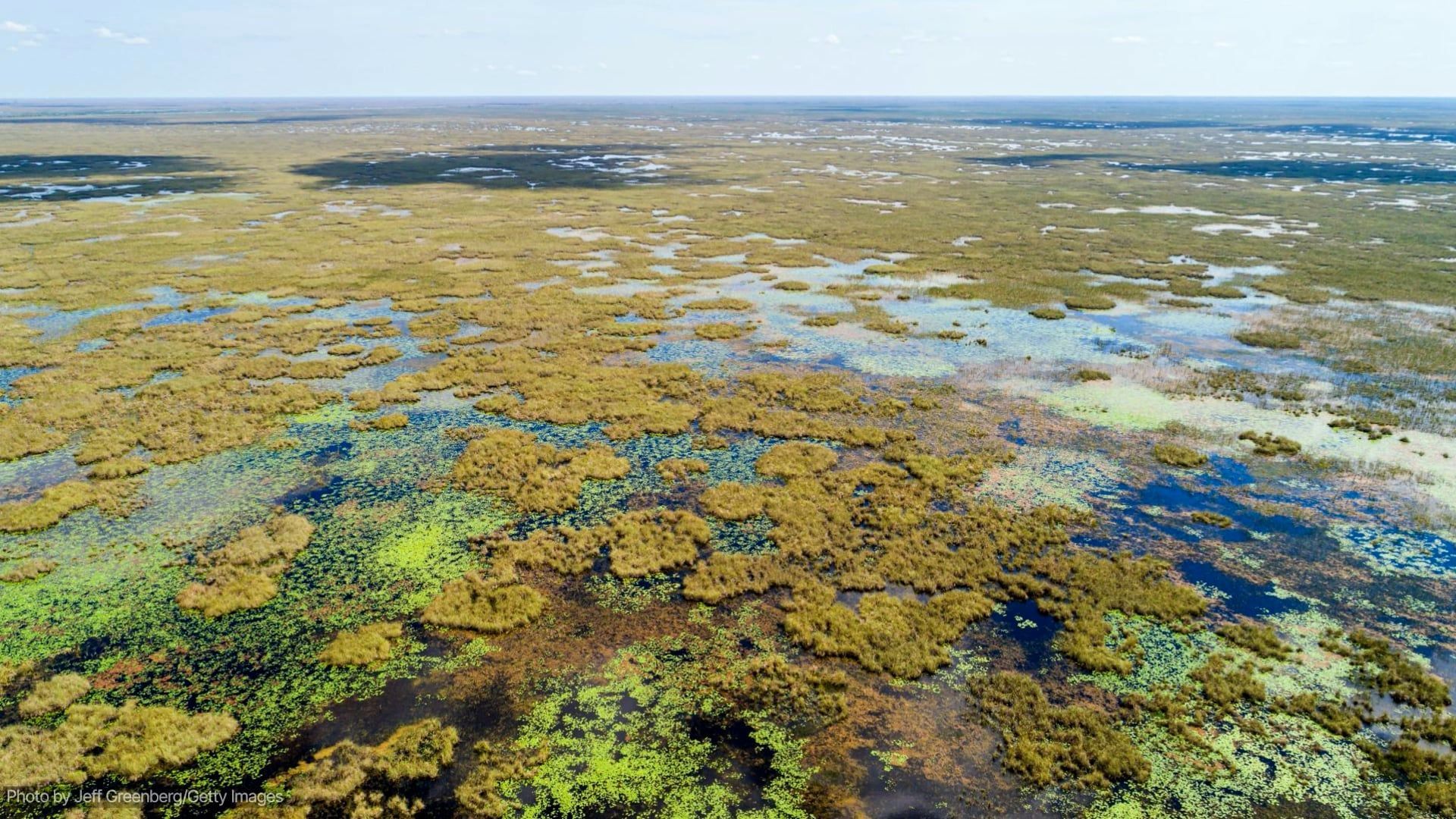 Video: Florida baut Haftanstalt für Migranten in den Everglades
