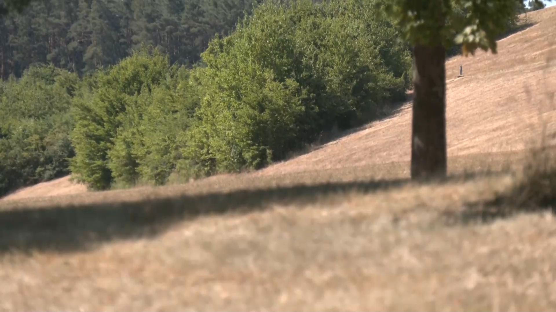 Video: Neue Tiefstwerte: August deutlich zu trocken