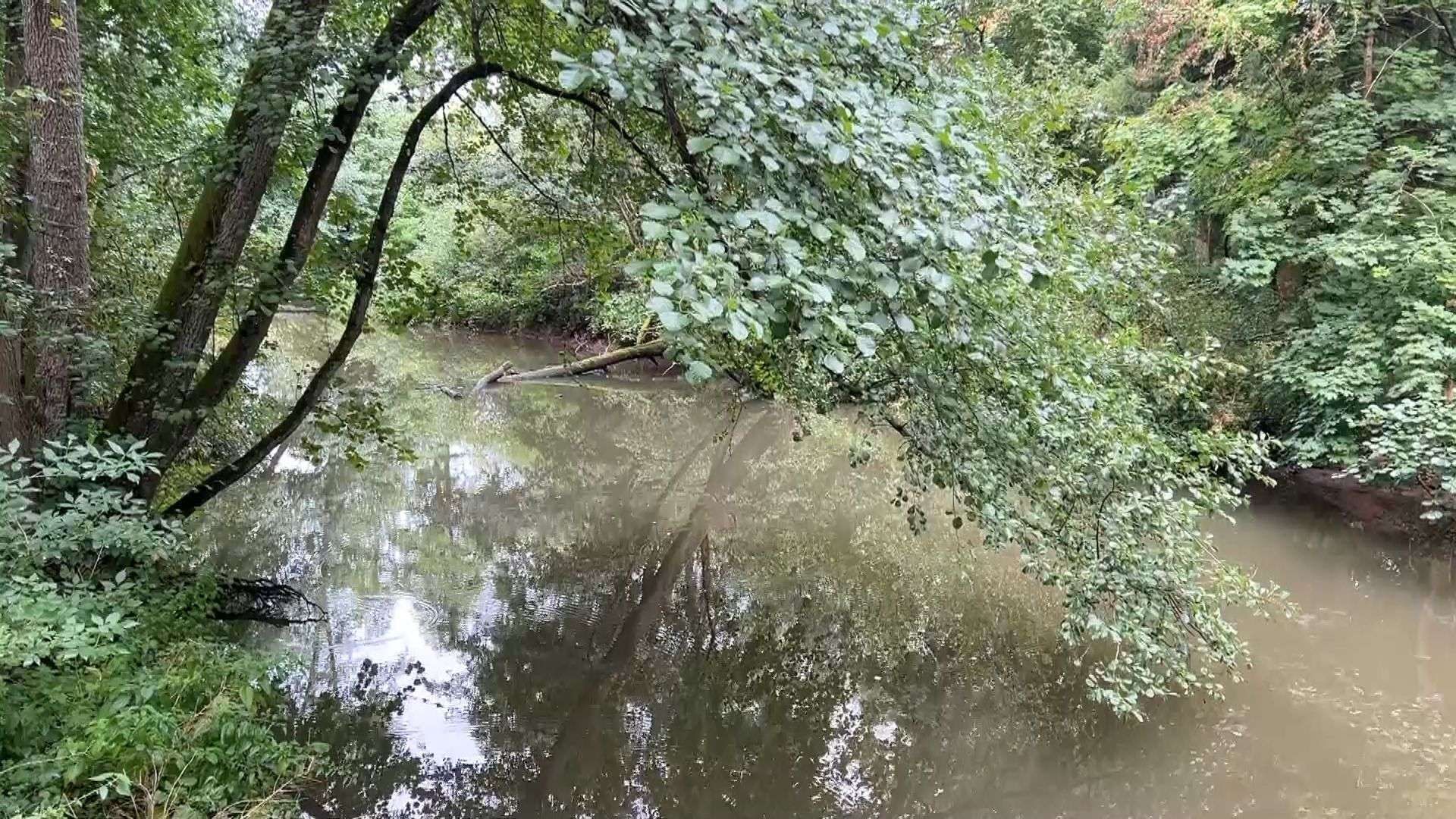Video: Schwarzachklamm vorübergehend gesperrt: Wanderer müssen Ausweichwege gehen