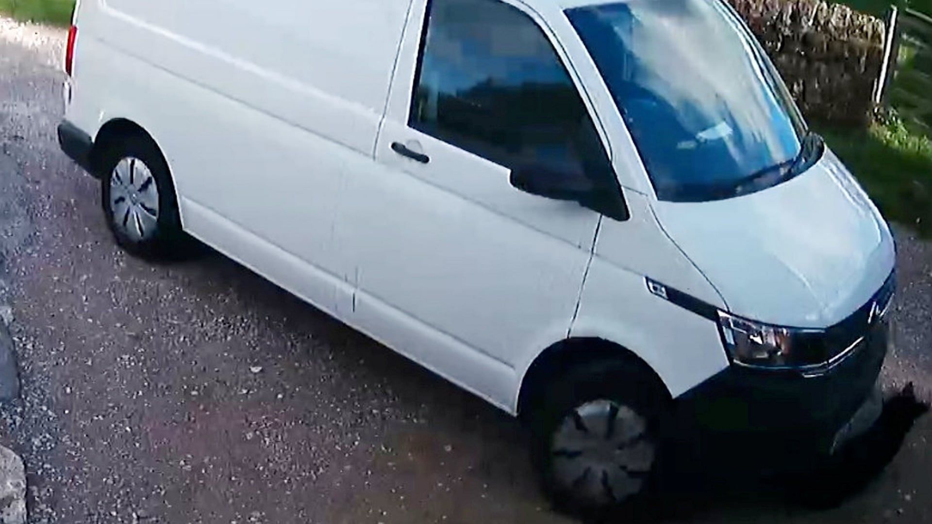 Video: Amazon überfährt Familienhund und schickt 29 € Bett als Entschuldigung