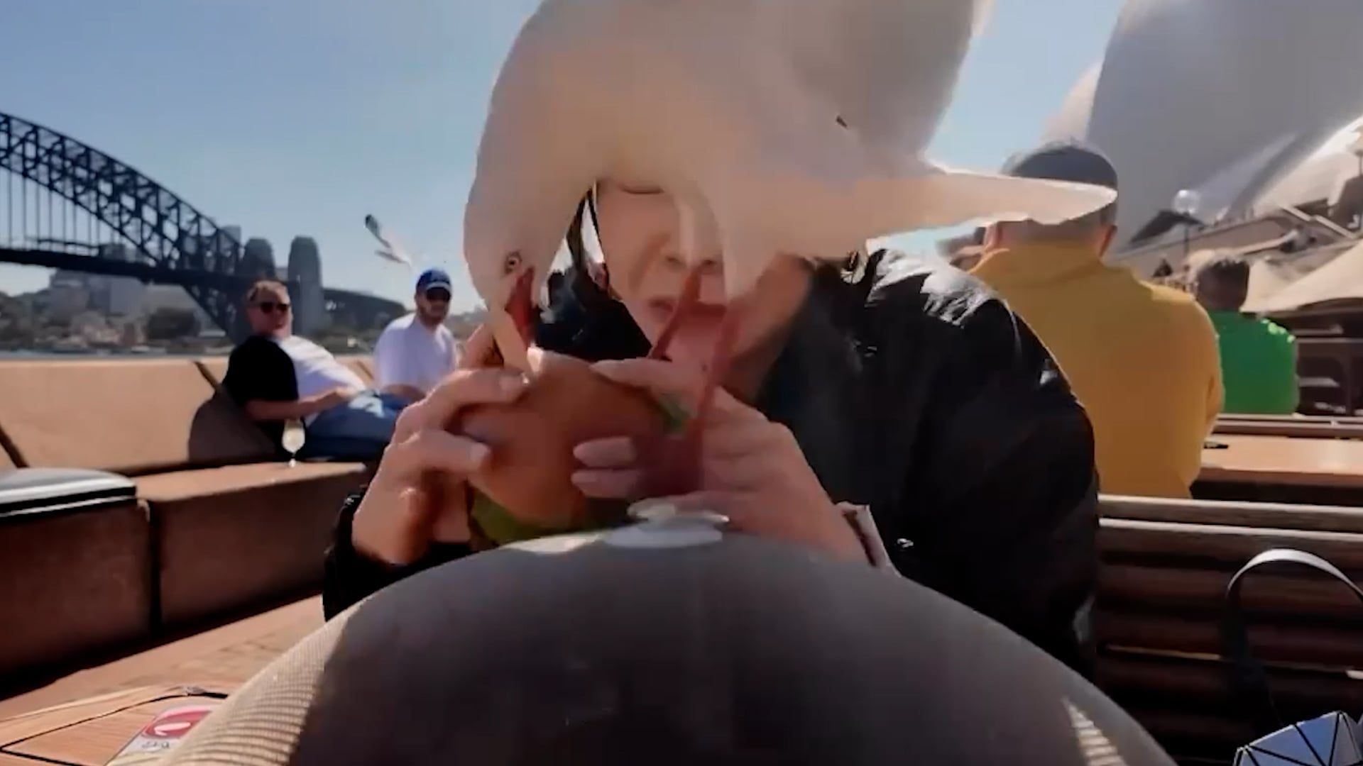 Video: Schelmische Möwe versucht, Touristin in Australien Burger zu entreißen