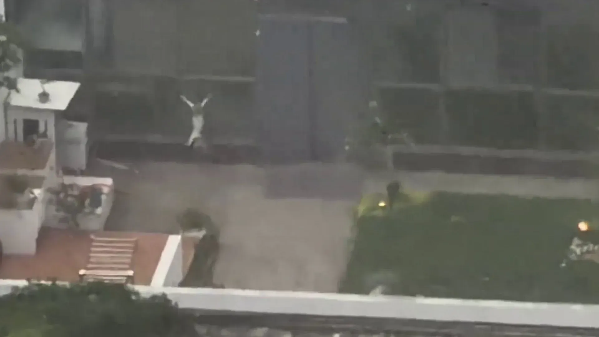 Video: Kätzchen kämpft sich bei sintflutartigem Regen zurück ins Haus