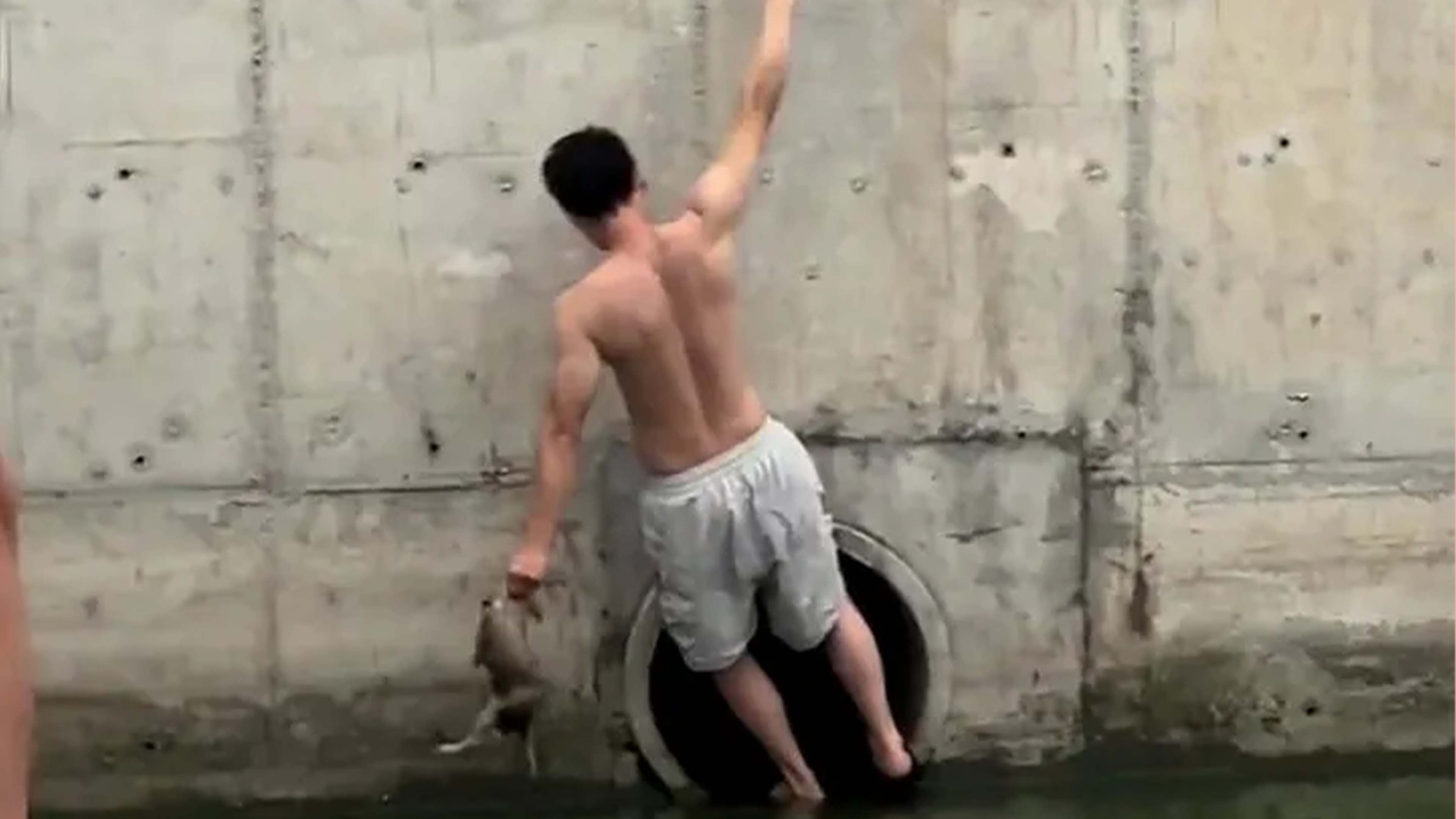 Video: Zwei Männer retten gestrandeten Hund aus Abflusskanal
