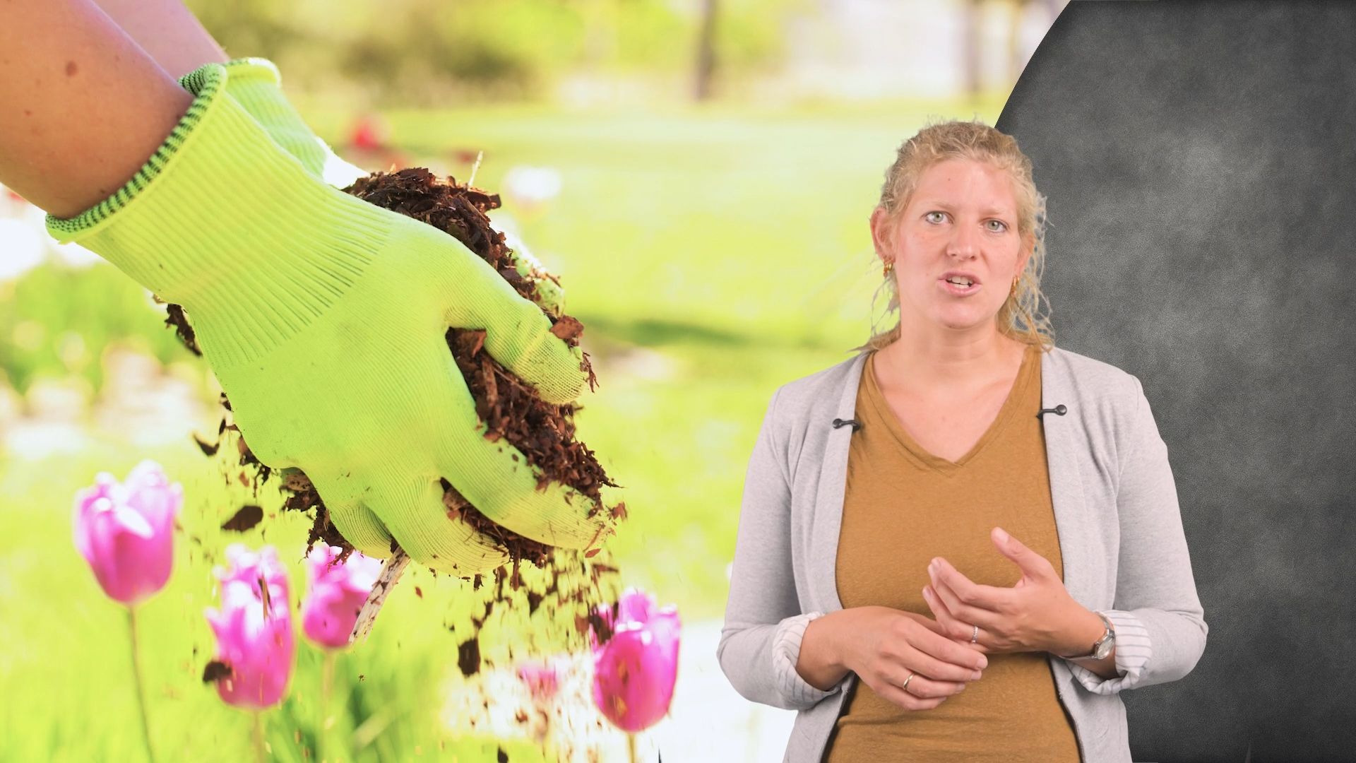 Blumenerde ohne Torf? So klappt’s im Garten nachhaltig