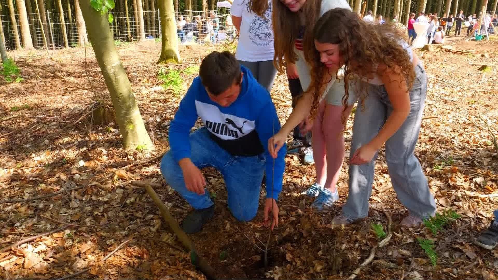 Bildungsbäume – Für jeden neuen Schüler ein neuer Baum