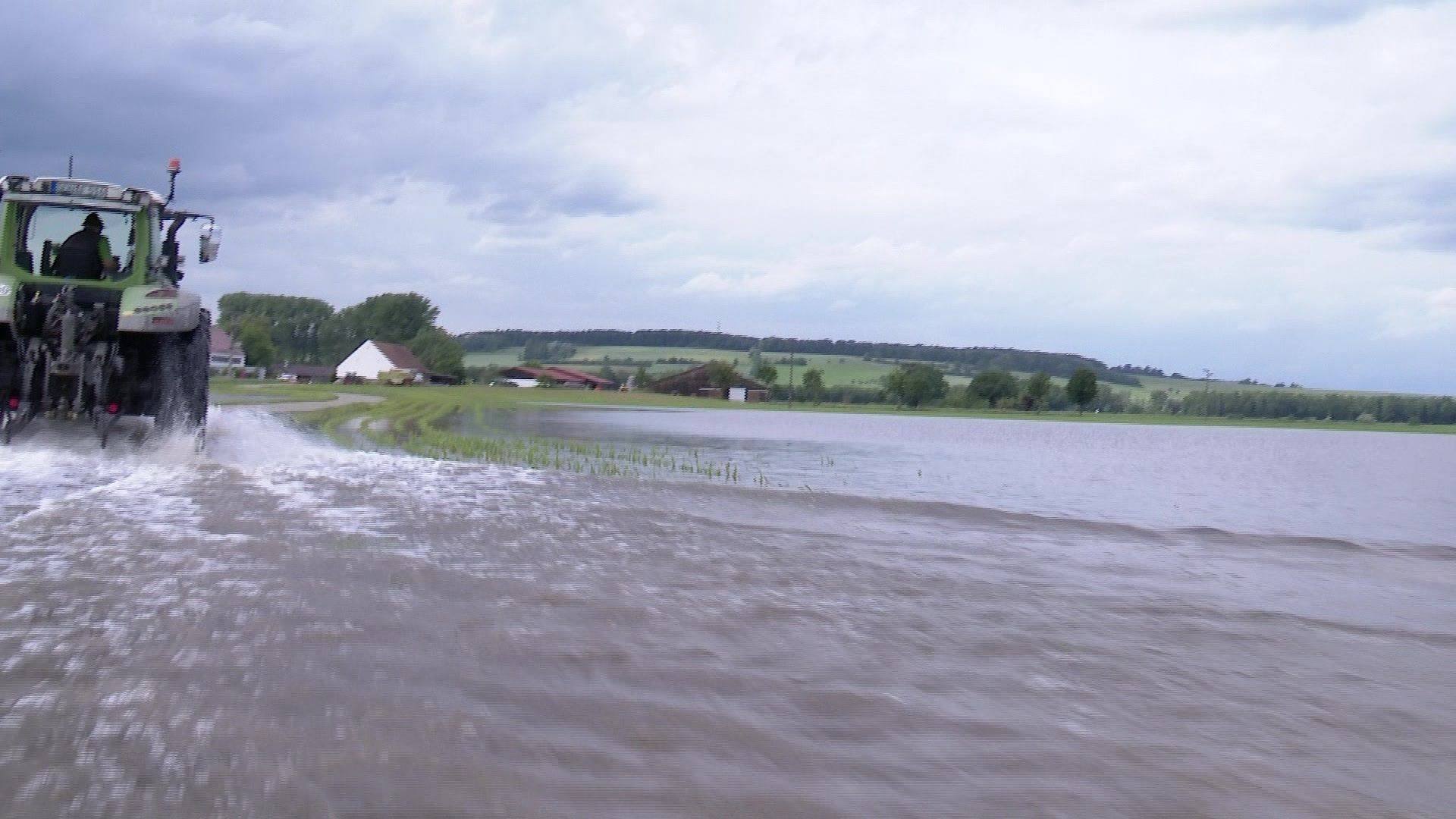 Landwirtschaft und ihre Tiere im Hochwasser