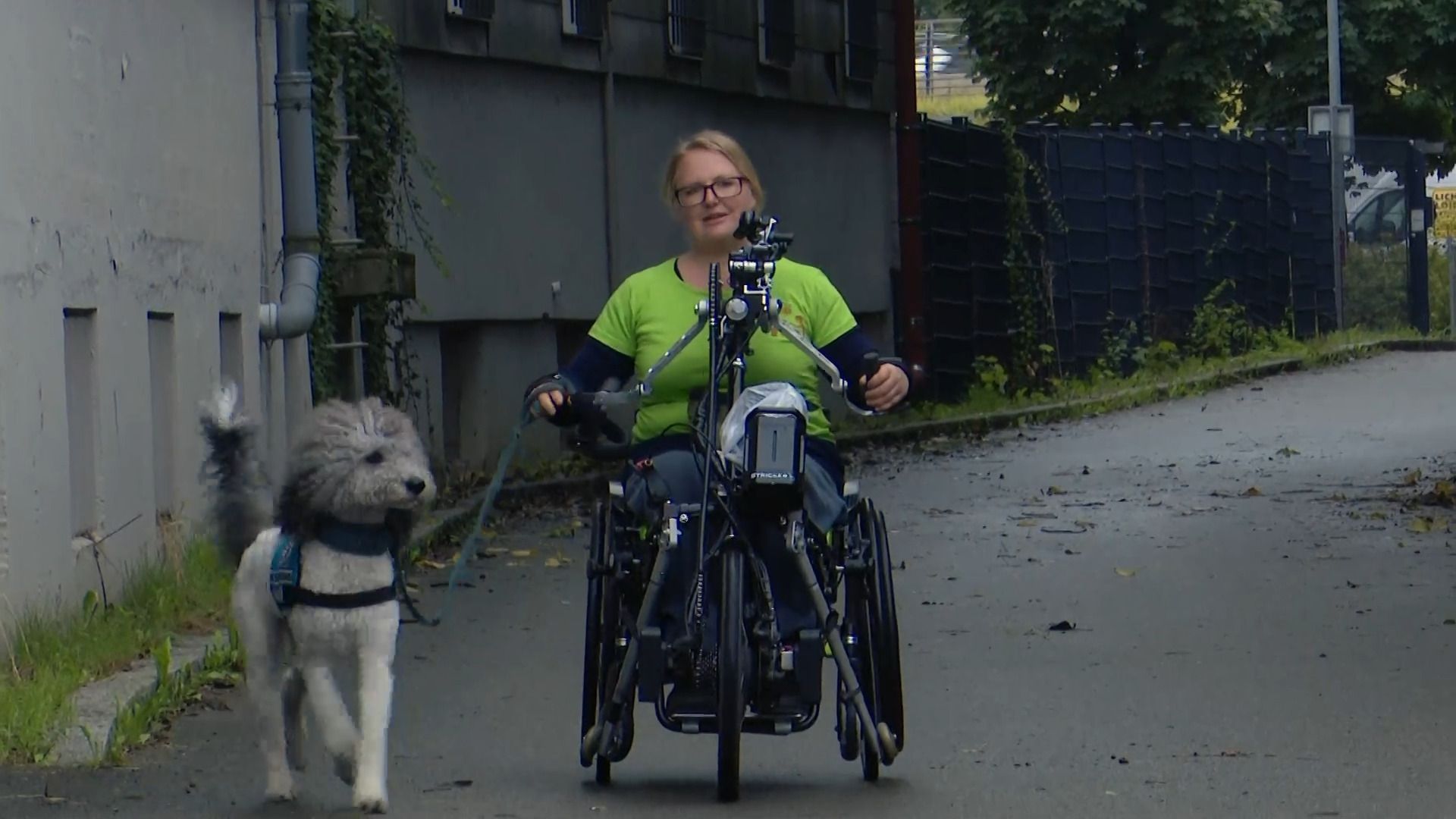Assistenzhunde – Gesetzesänderung gefordert - Video