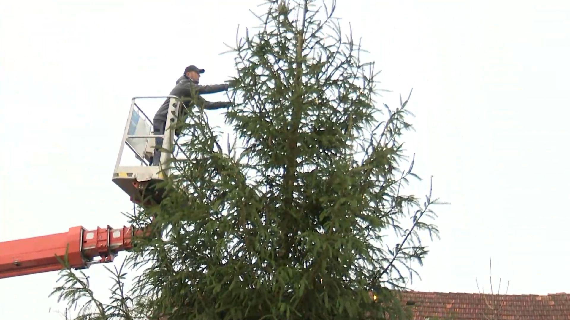 Video: Oh Tannenbaum - nach abgesägter Fichte freut sich Oberbechingen wieder über Weihnachtsbaum