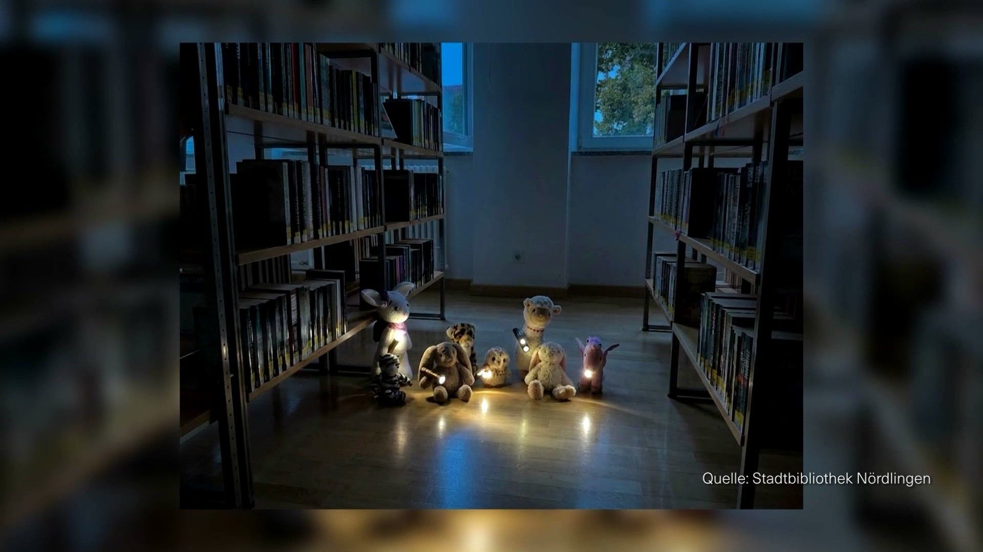 Video: Kuscheltier-Nacht – Leselust in Nördlingen wecken