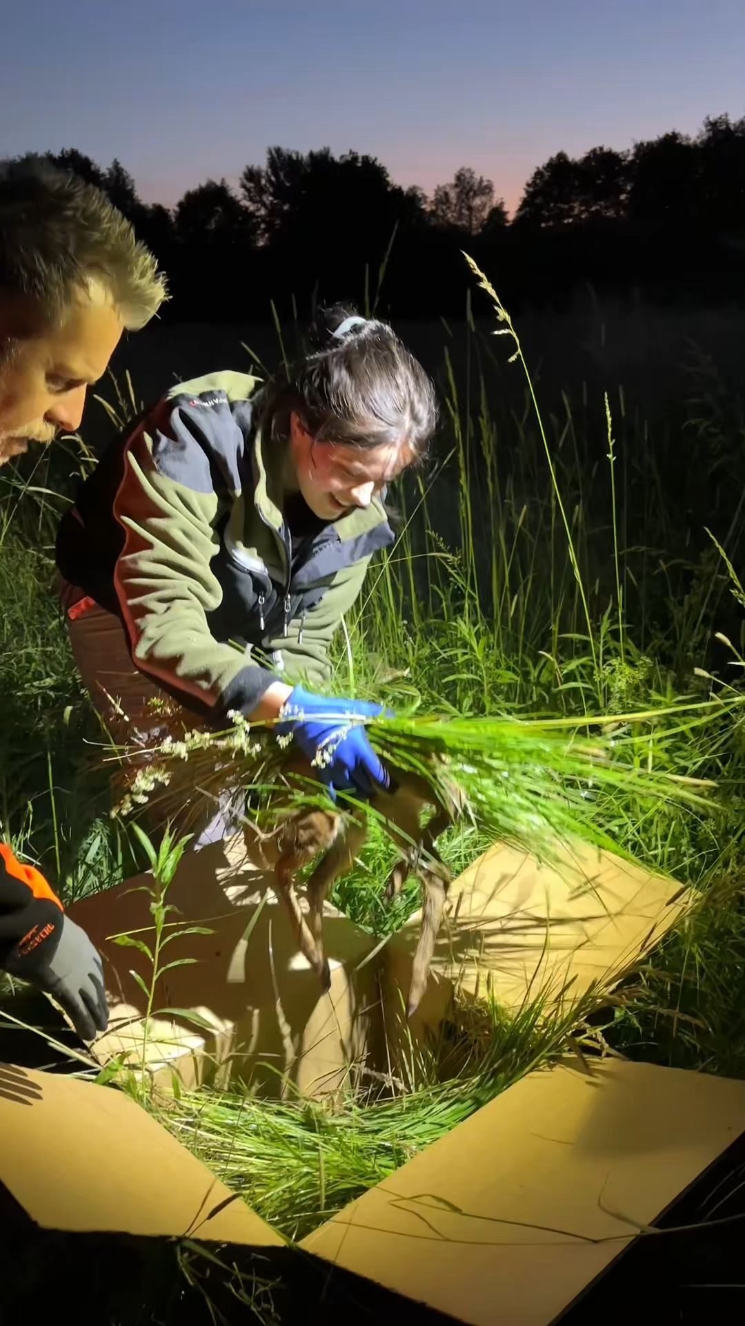 Video: Mit den Kitzrettern unterwegs: Einsatz der Badischen Jäger