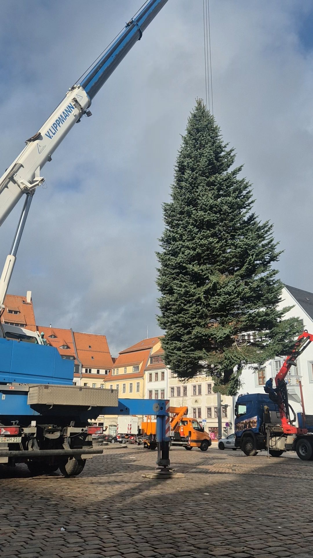 Video: Wie der Weihnachtsbaum für den Freiberger Christmarkt aus Dittmannsdorf „anreist“