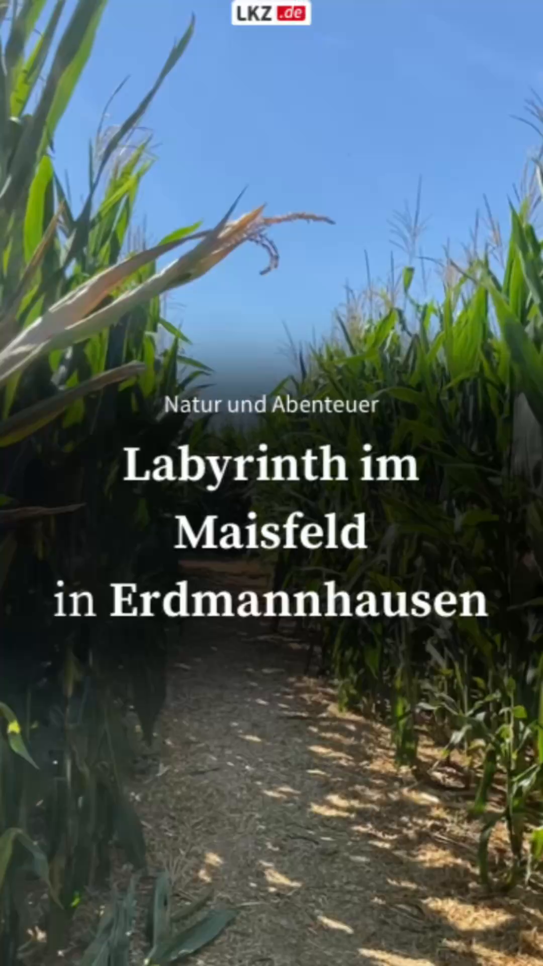Maislabyrinth in the Ludwigsburg district