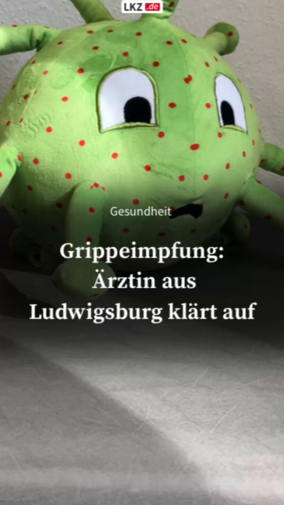 Flu Vaccination: Doctor from Ludwigsburg Clarifies