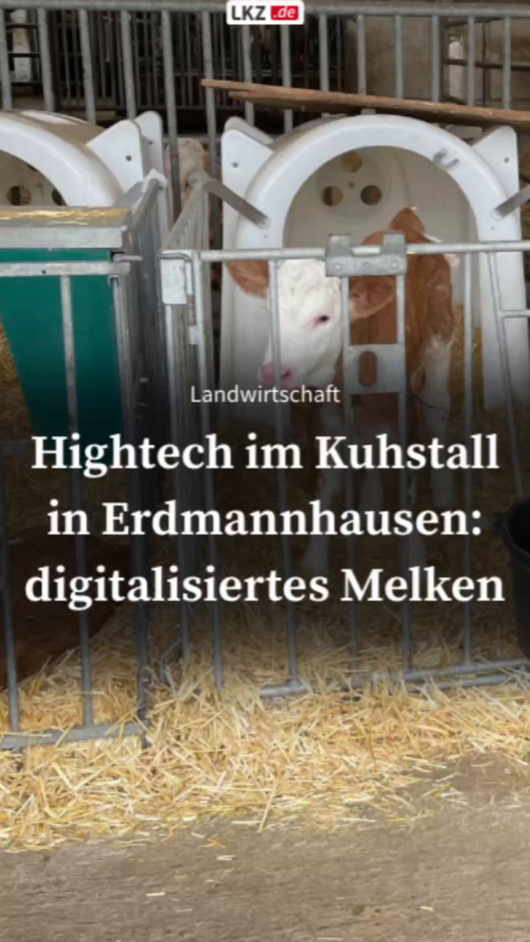 Hightech in the cowshed in Erdmannhausen: digitized milking